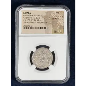 Judaea AD 66-70 AR Shekel Jewish War (2)